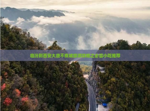 临汾到西安大唐不夜城旅游攻略之必尝小吃推荐