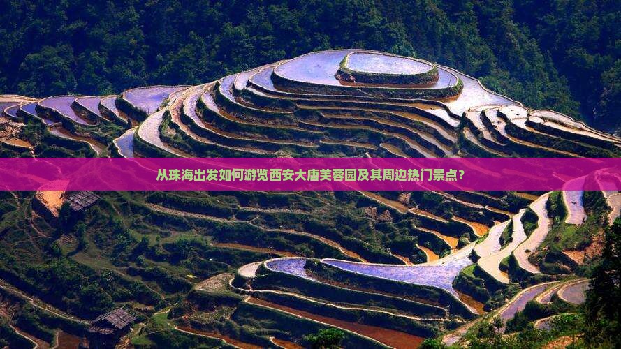 从珠海出发如何游览西安大唐芙蓉园及其周边热门景点？