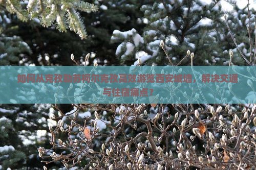 如何从克孜勒苏柯尔克孜高效游览西安城墙，解决交通与住宿痛点？