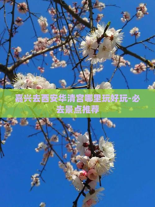 嘉兴去西安华清宫哪里玩好玩-必去景点推荐