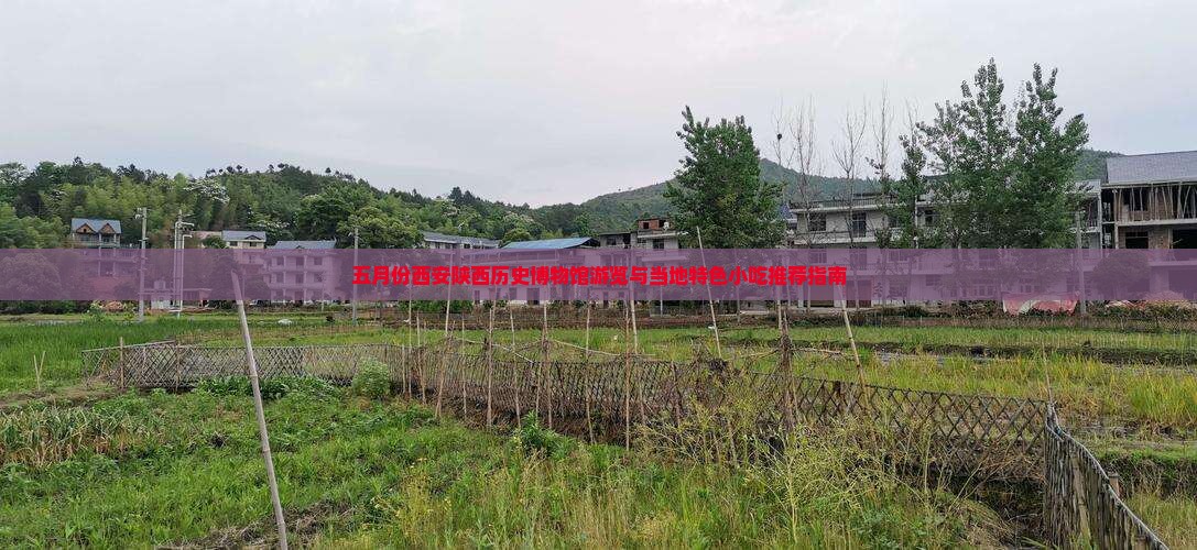 五月份西安陕西历史博物馆游览与当地特色小吃推荐指南