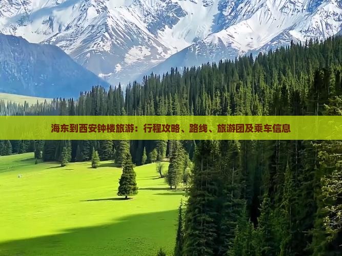 海东到西安钟楼旅游：行程攻略、路线、旅游团及乘车信息