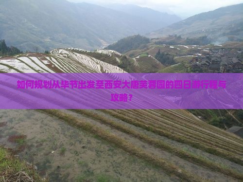如何规划从毕节出发至西安大唐芙蓉园的四日游行程与攻略？
