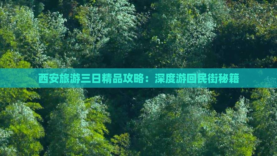 西安旅游三日精品攻略：深度游回民街秘籍