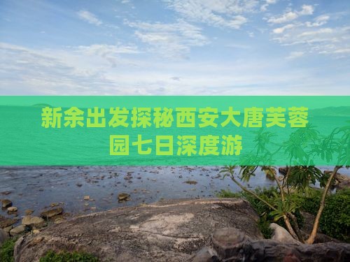 新余出发探秘西安大唐芙蓉园七日深度游