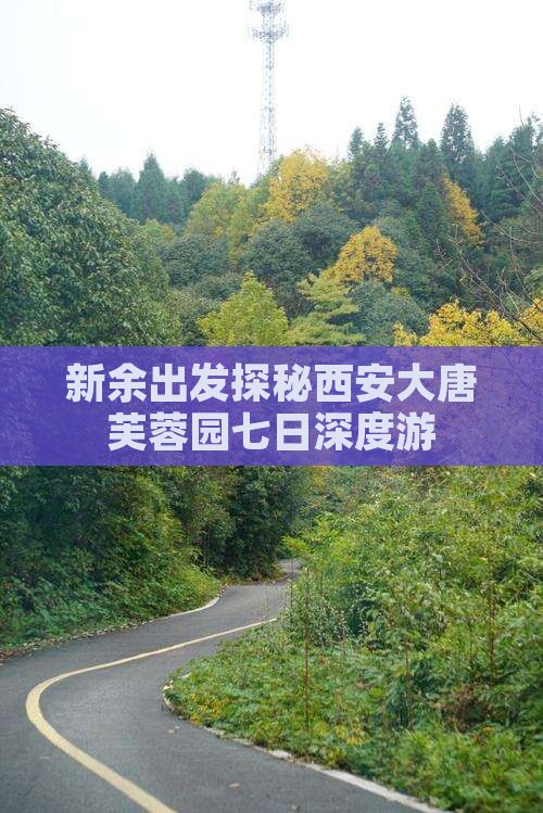 新余出发探秘西安大唐芙蓉园七日深度游
