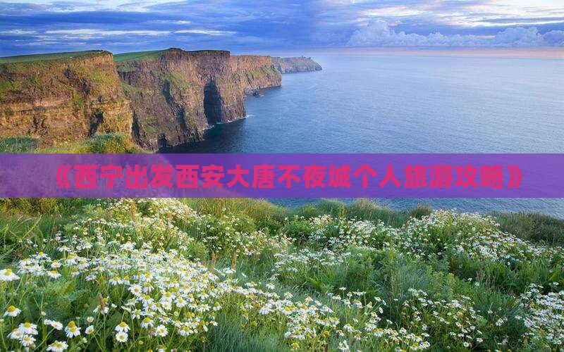 《西宁出发西安大唐不夜城个人旅游攻略》