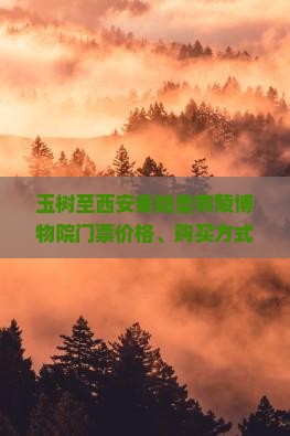 玉树至西安秦始皇帝陵博物院门票价格、购买方式及优惠政策详解？
