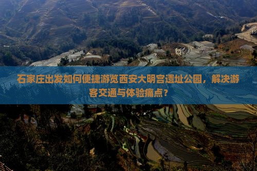 石家庄出发如何便捷游览西安大明宫遗址公园，解决游客交通与体验痛点？