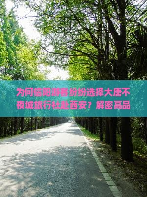 为何信阳游客纷纷选择大唐不夜城旅行社赴西安？解密高品质出行痛点与热词新词！