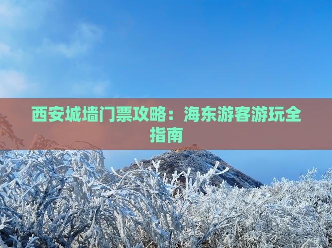 西安城墙门票攻略：海东游客游玩全指南