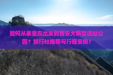 如何从秦皇岛出发到西安大明宫遗址公园？旅行社推荐与行程安排？