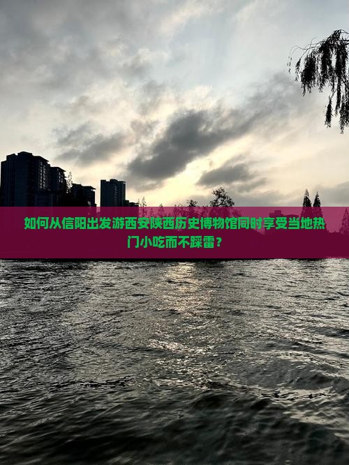 如何从信阳出发游西安陕西历史博物馆同时享受当地热门小吃而不踩雷？