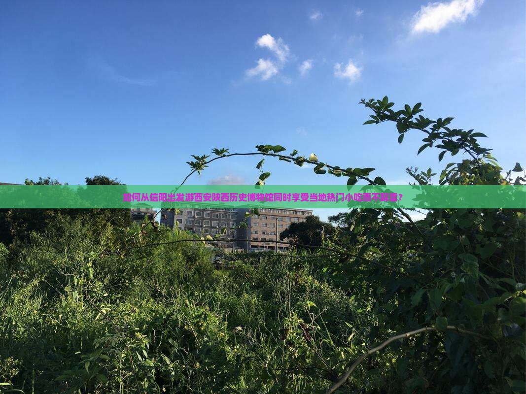 如何从信阳出发游西安陕西历史博物馆同时享受当地热门小吃而不踩雷？