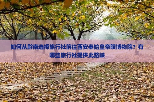 如何从黔南选择旅行社前往西安秦始皇帝陵博物院？有哪些旅行社提供此路峡