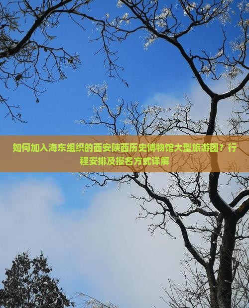 如何加入海东组织的西安陕西历史博物馆大型旅游团？行程安排及报名方式详解