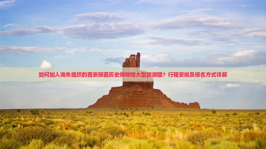 如何加入海东组织的西安陕西历史博物馆大型旅游团？行程安排及报名方式详解