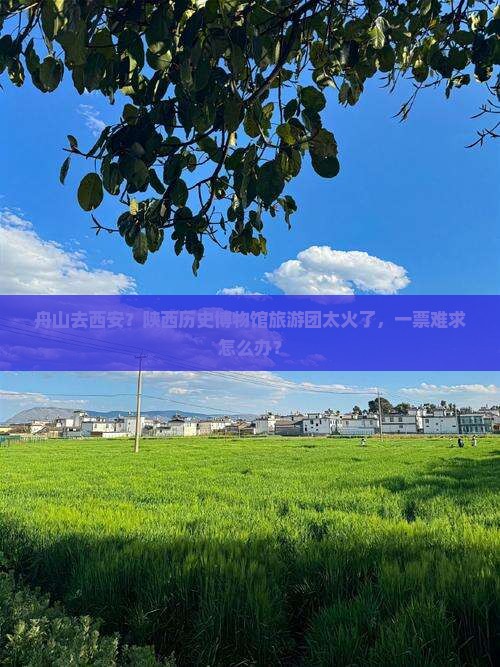 舟山去西安？陕西历史博物馆旅游团太火了，一票难求怎么办？