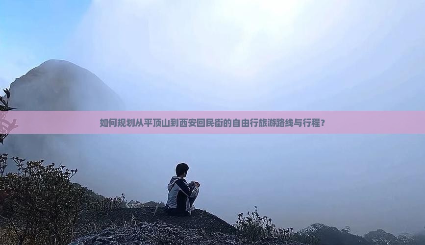 如何规划从平顶山到西安回民街的自由行旅游路线与行程？