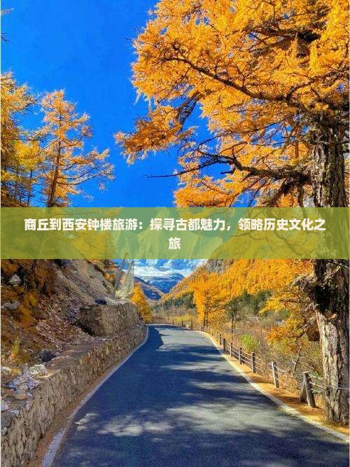 商丘到西安钟楼旅游：探寻古都魅力，领略历史文化之旅