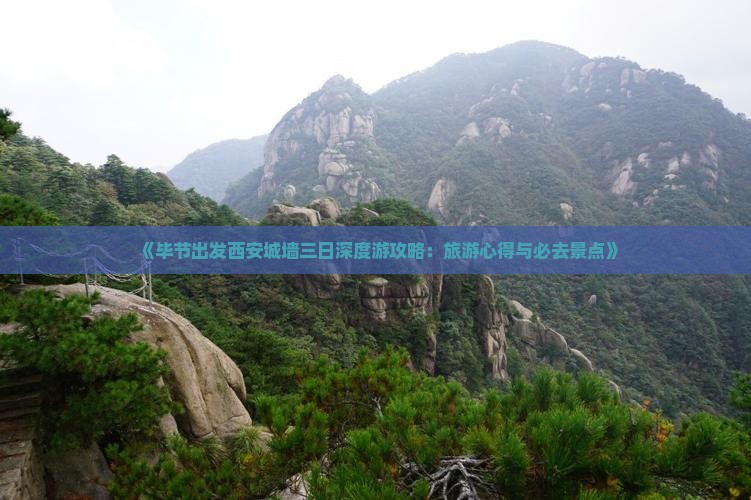 《毕节出发西安城墙三日深度游攻略：旅游心得与必去景点》