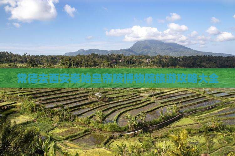 常德去西安秦始皇帝陵博物院旅游攻略大全