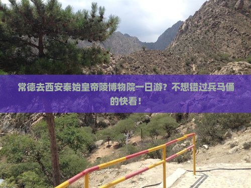 常德去西安秦始皇帝陵博物院一日游？不想错过兵马俑的快看！