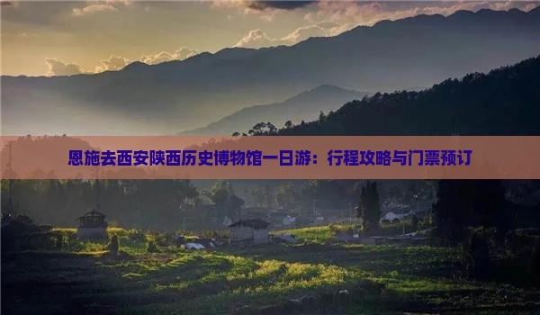 恩施去西安陕西历史博物馆一日游：行程攻略与门票预订