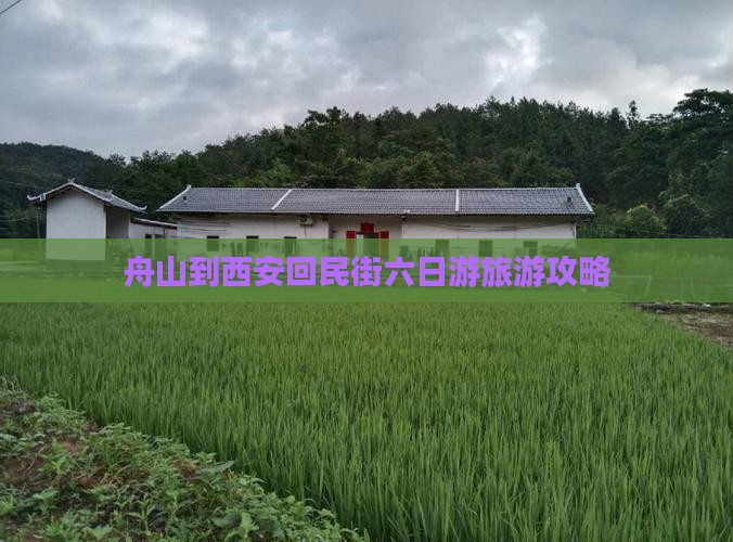 舟山到西安回民街六日游旅游攻略