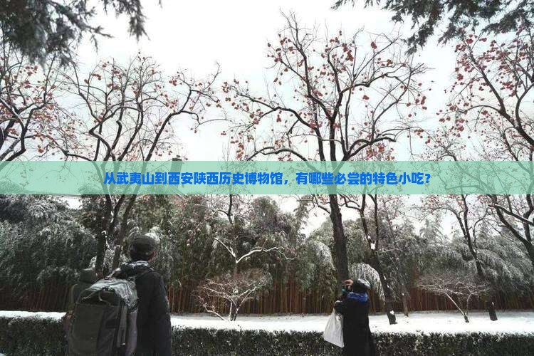 从武夷山到西安陕西历史博物馆，有哪些必尝的特色小吃？