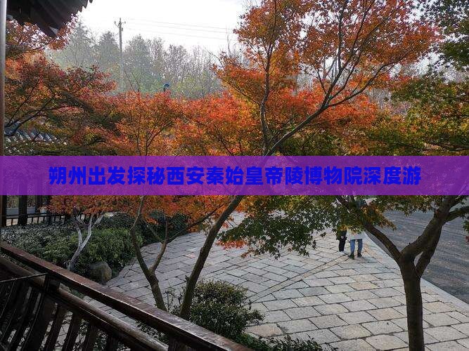 朔州出发探秘西安秦始皇帝陵博物院深度游