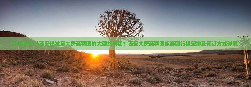 如何参加从西安出发至大唐芙蓉园的大型旅游团？西安大唐芙蓉园旅游团行程安排及预订方式详解