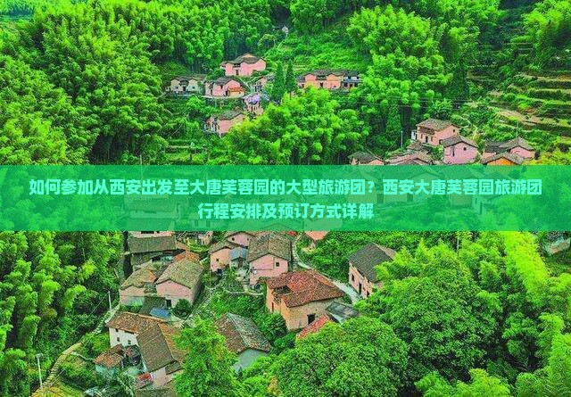 如何参加从西安出发至大唐芙蓉园的大型旅游团？西安大唐芙蓉园旅游团行程安排及预订方式详解