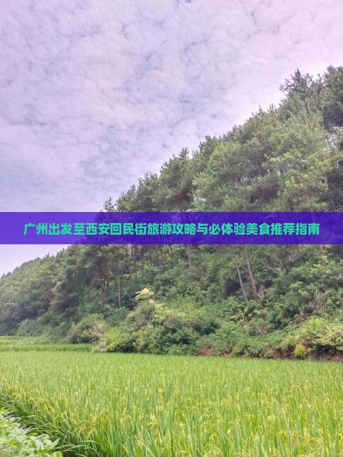广州出发至西安回民街旅游攻略与必体验美食推荐指南