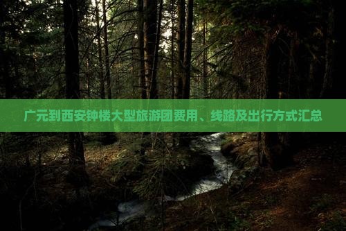 广元到西安钟楼大型旅游团费用、线路及出行方式汇总