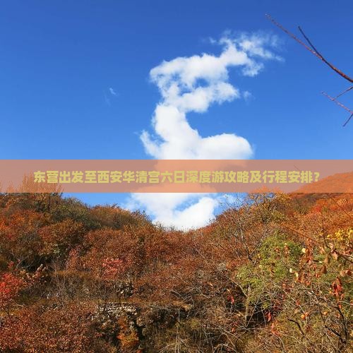 东营出发至西安华清宫六日深度游攻略及行程安排？