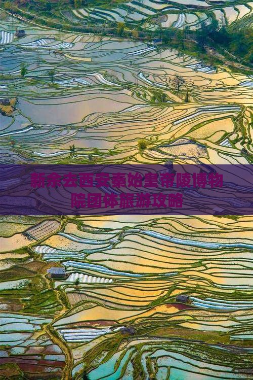 新余去西安秦始皇帝陵博物院团体旅游攻略