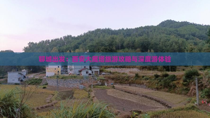 聊城出发：西安大雁塔旅游攻略与深度游体验