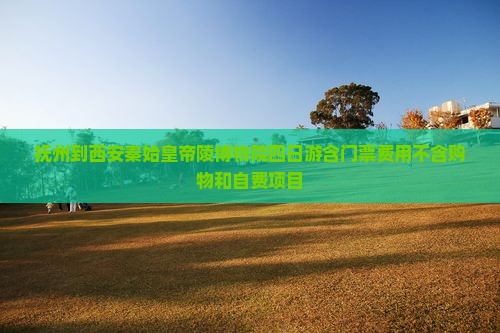 抚州到西安秦始皇帝陵博物院四日游含门票费用不含购物和自费项目