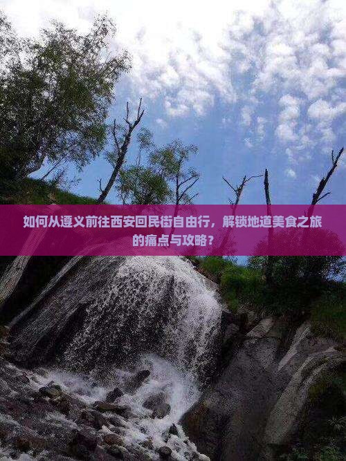 如何从遵义前往西安回民街自由行，解锁地道美食之旅的痛点与攻略？