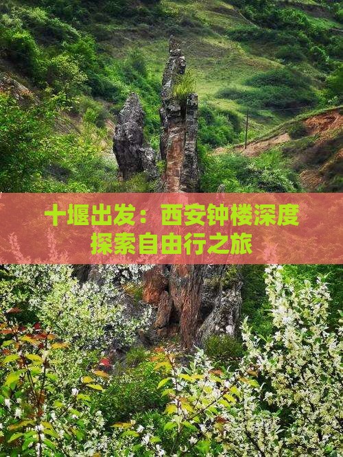 十堰出发：西安钟楼深度探索自由行之旅