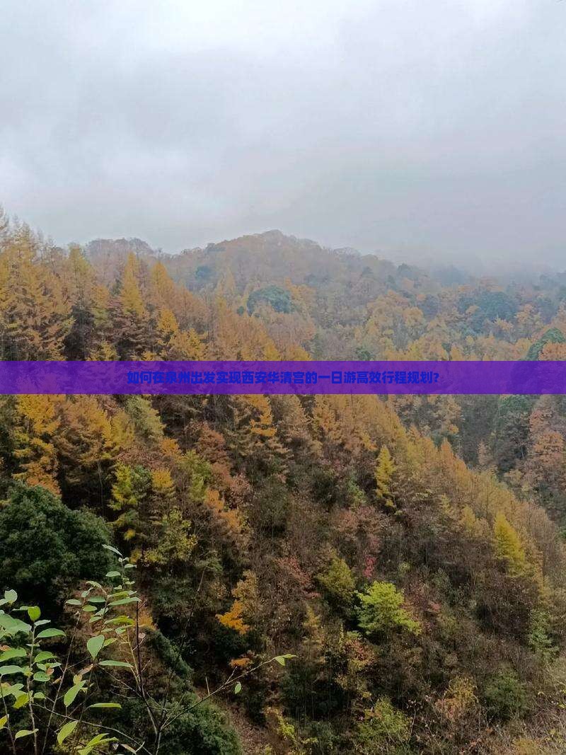 如何在泉州出发实现西安华清宫的一日游高效行程规划? 如何在泉州出发实现西安华清宫的一日游高效行程规划?