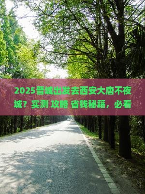 晋城去西安大唐不夜城旅游