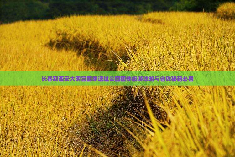长春到西安大明宫国家遗址公园团体旅游