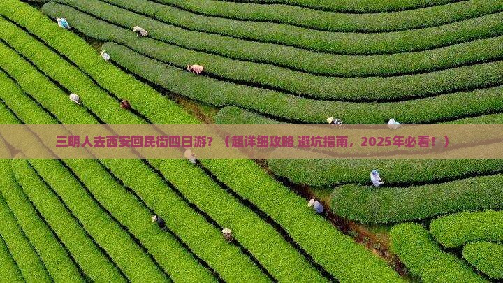 三明去西安回民街四日游