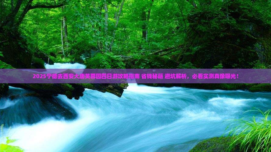 宁德去西安大唐芙蓉园四日游