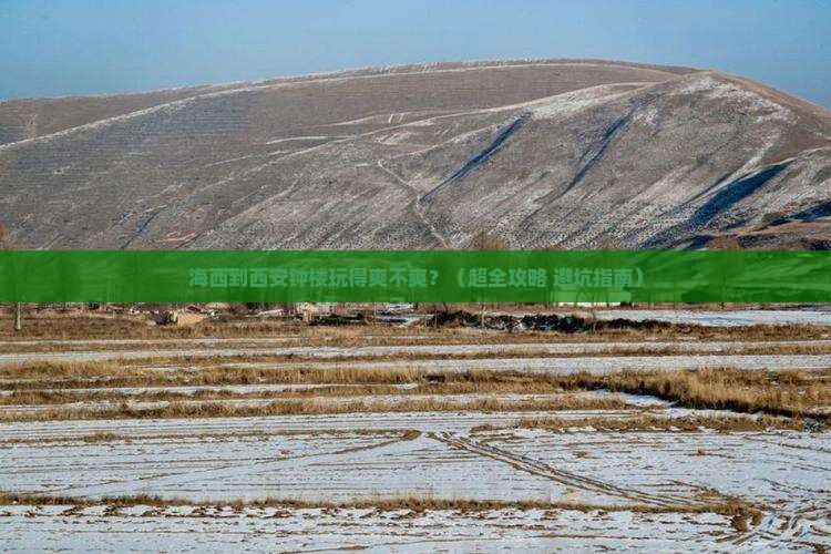 海西去西安钟楼团体旅游