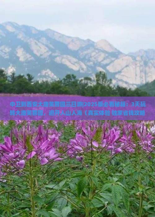 中卫到西安大唐芙蓉园三日游