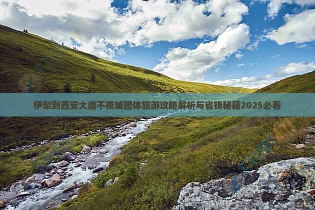 伊犁哈萨克到西安大唐不夜城团体旅游