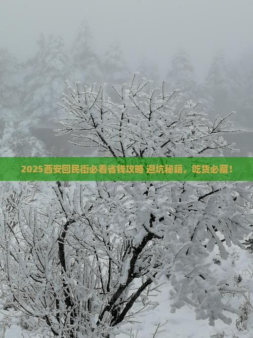 延边去西安回民街门票